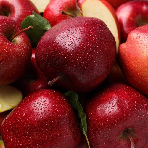 shutterstock_2634506723