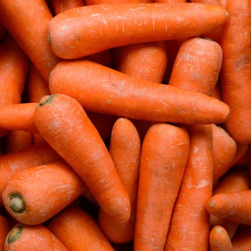 shutterstock_2651236067