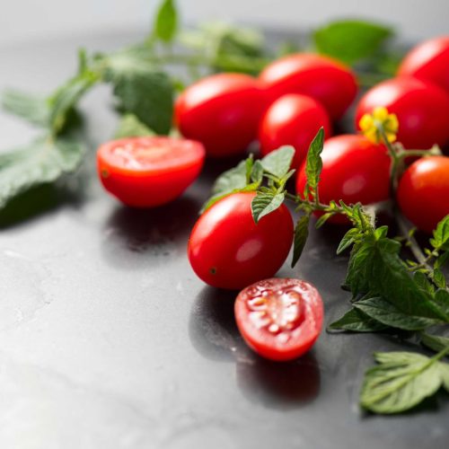 shutterstock_2661345493